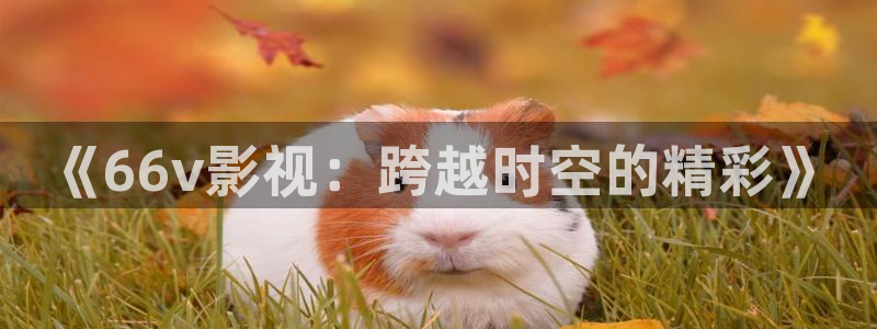 探花视频在线观看免费：《66v影视：跨越时空的精彩》
