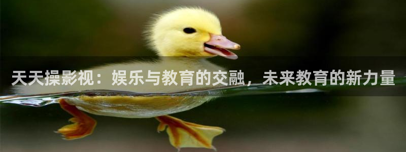 国产探花视频：天天操影视：娱乐与教育的交融，未来教育的新力量