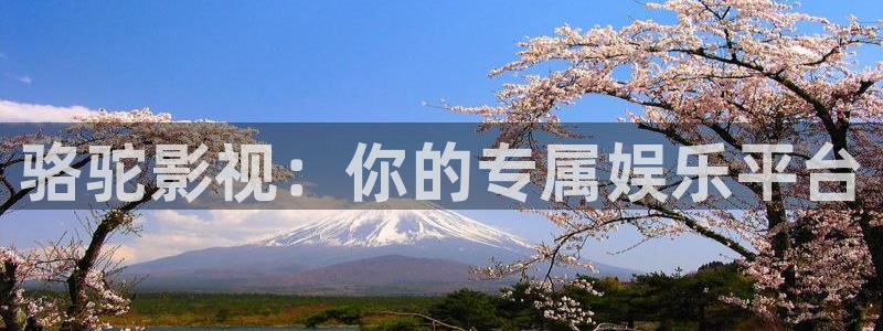 探花视频在线观看免费版：骆驼影视：你的专属娱乐平台