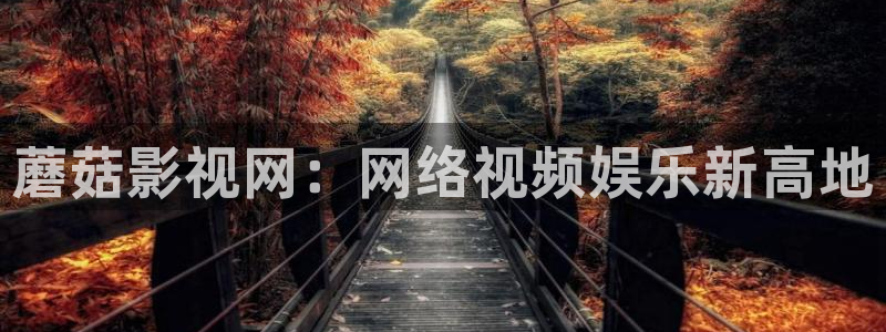 精选探花：蘑菇影视网：网络视频娱乐新高地