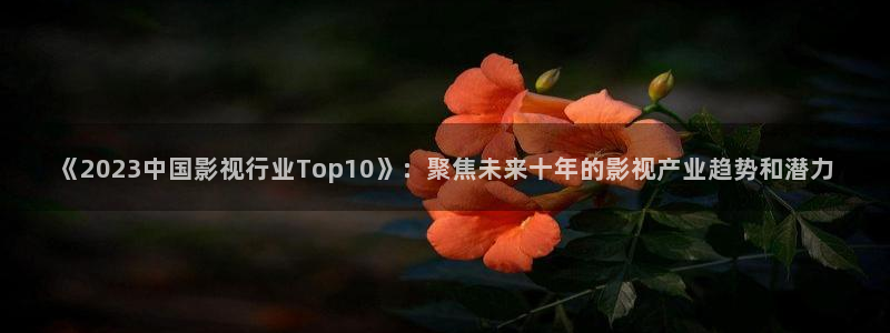探花视频app：《2023中国影视行业Top10》：聚焦未来十年的影视产业趋势和潜力