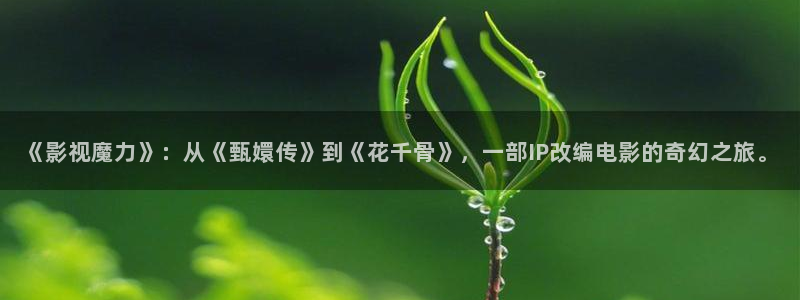 国产探花视频网站：《影视魔力》：从《甄嬛传》到《花千骨》，一部IP改编电影的奇幻之旅。