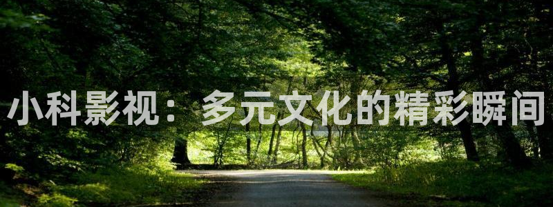 日本探花视频：小科影视：多元文化的精彩瞬间