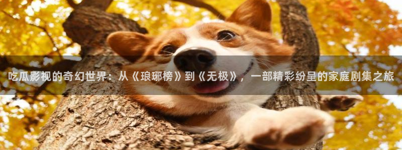 小宝探花免费视频：吃瓜影视的奇幻世界：从《琅琊榜》到《无极》，一部精彩纷呈的家庭剧集之旅