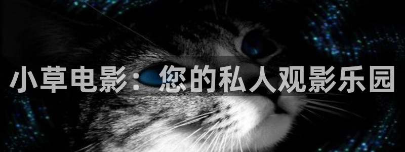 日本探花视频：小草电影：您的私人观影乐园